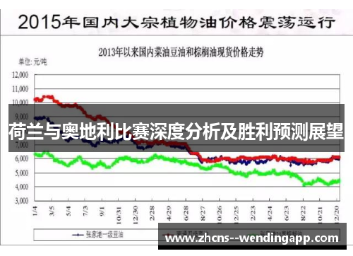 荷兰与奥地利比赛深度分析及胜利预测展望