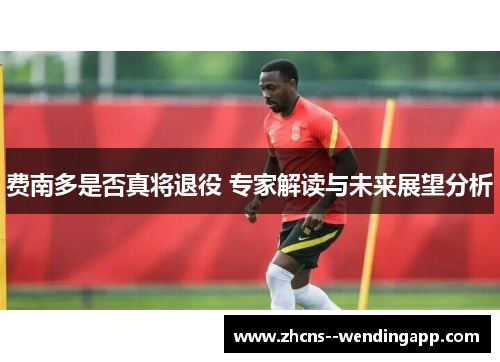 费南多是否真将退役 专家解读与未来展望分析